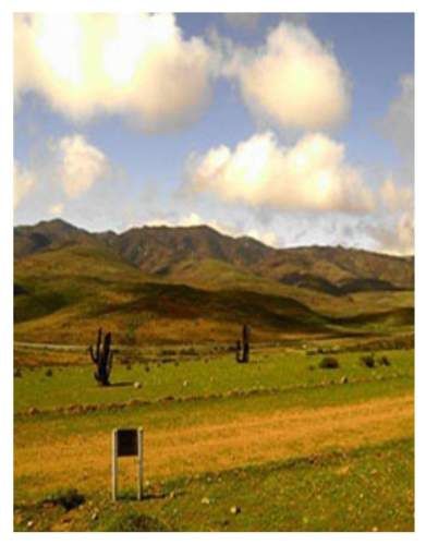 Invierte en Naturaleza Parcela en Costa Dorada con Vista y Tranquilidad Asegurada