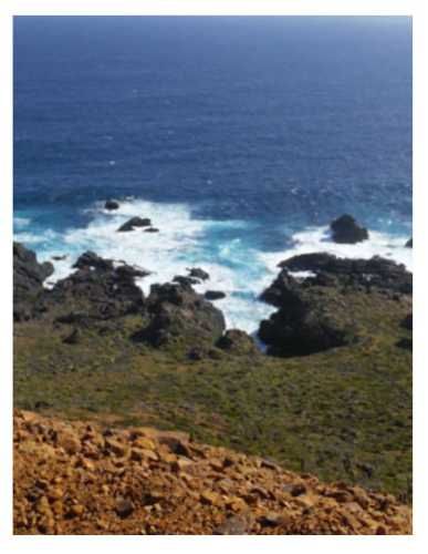 Invierte en Naturaleza Parcela en Costa Dorada con Vista y Tranquilidad Asegurada