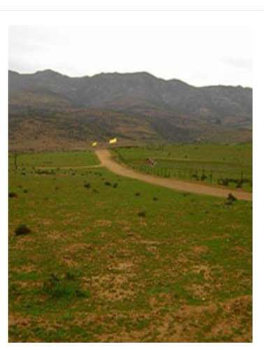 Invierte en Naturaleza Parcela en Costa Dorada con Vista y Tranquilidad Asegurada
