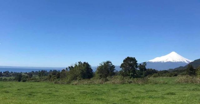 Parcela 5.000 mts2 sector Los Riscos a 25 Kms de Pto Varas