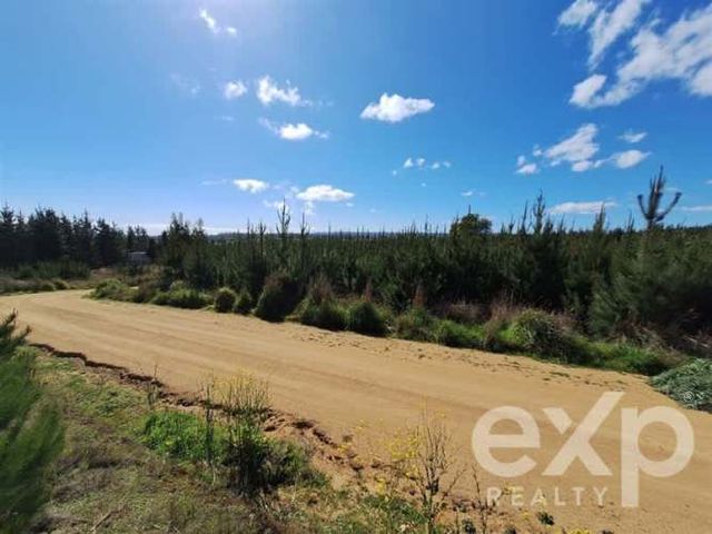 SITIO Terreno L184 Alto Colorado