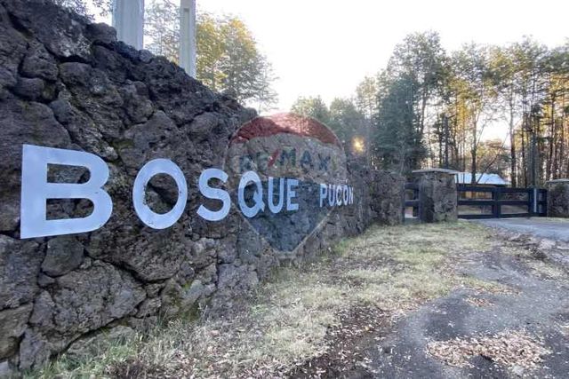 Parcela en venta, bosque pucón