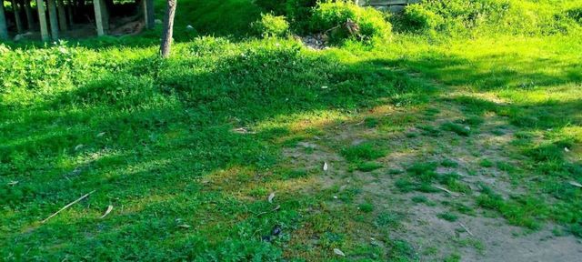 Terreno El Estero, Lago Rapel