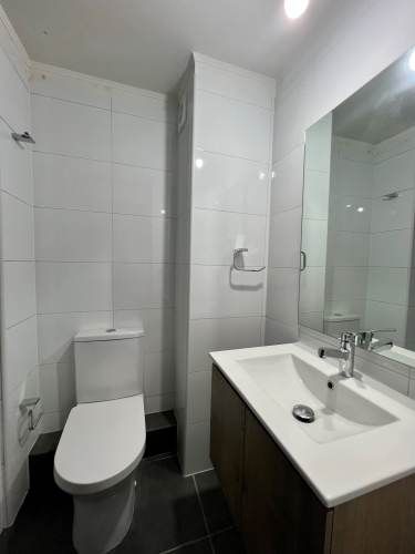 Curiñanca / Metro San Miguel