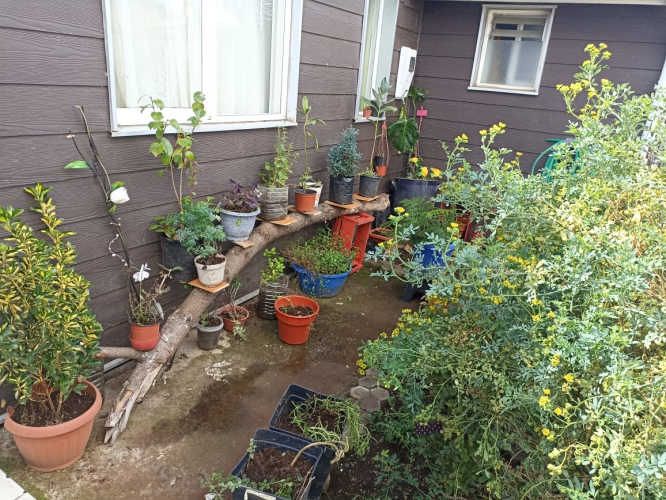 HERMOSA CASA CON QUINCHO EN VILLA ILUSION EN LA COMUNA DE LABRANZA