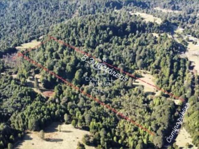 Campo de 8,300 hectáreas en Puyehue.