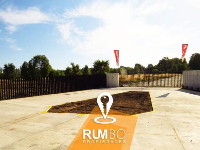 Hermosas parcelas de 5.000 m2 camino a Lican Ray, Villarrica