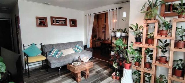 CASA Bosque san Carlos