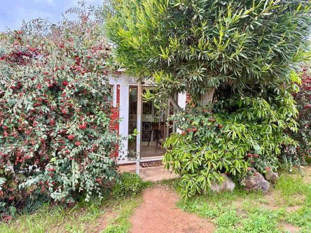 CASA Los claveles / los naranjos