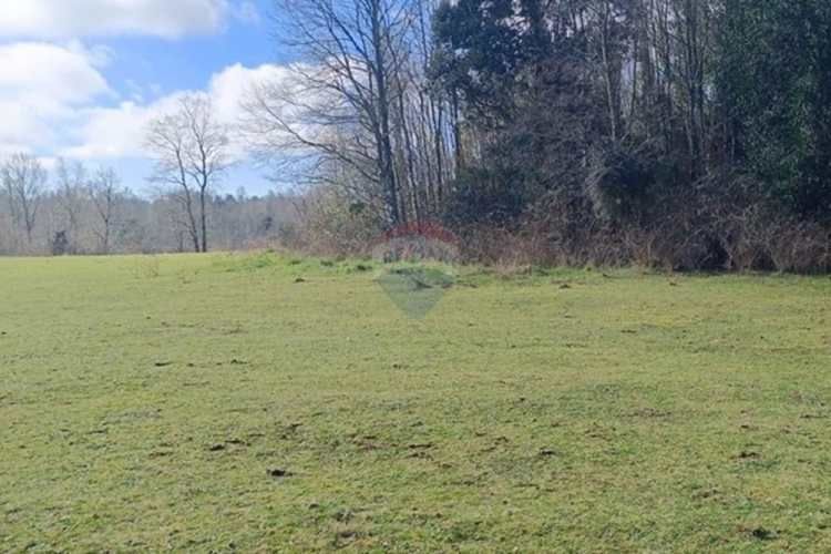 Parcela de 2,3 hectáreas en cuinco