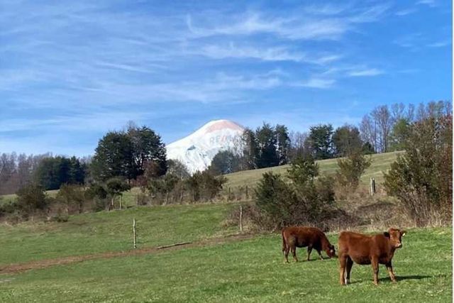Pucon, se vende maravillosa parcela en candelaria