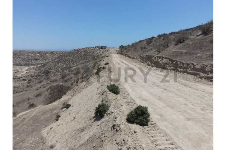 Se vende parcela 5000mt2 sector Tongoy