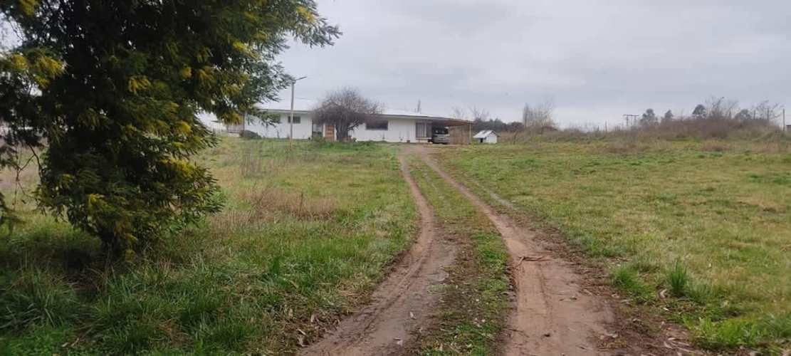 AGRICOLA Sector El Milagro San Rafael