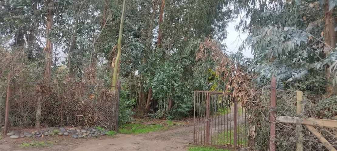 AGRICOLA Sector El Milagro San Rafael