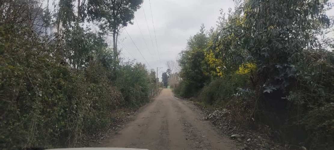 AGRICOLA Sector El Milagro San Rafael