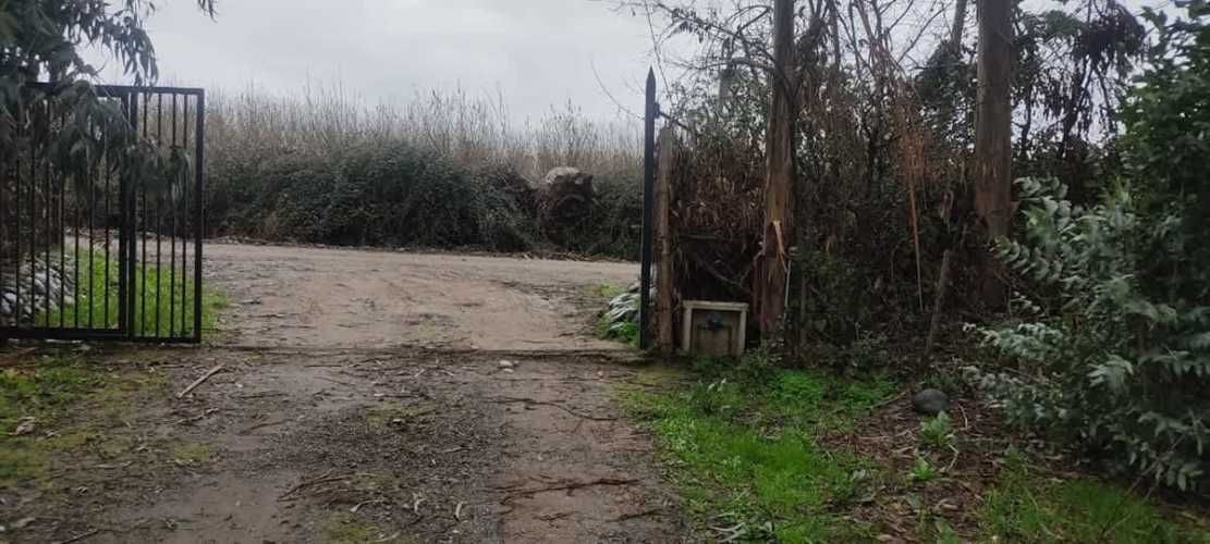 AGRICOLA Sector El Milagro San Rafael