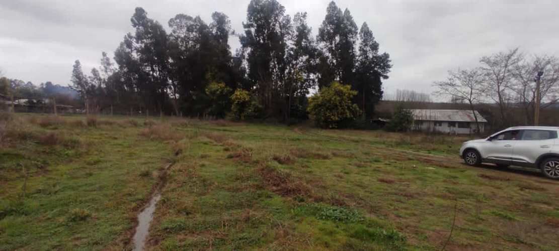 AGRICOLA Sector El Milagro San Rafael