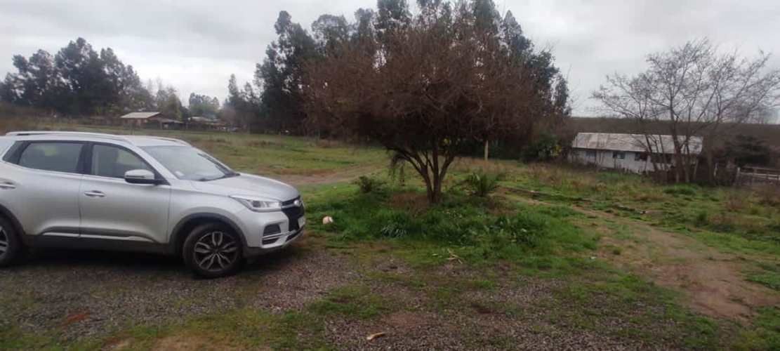 AGRICOLA Sector El Milagro San Rafael