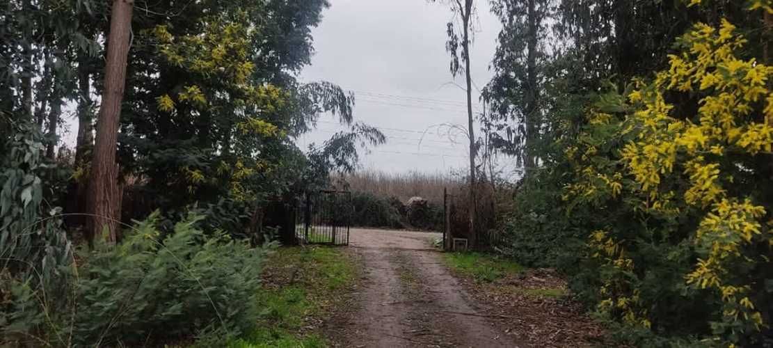 AGRICOLA Sector El Milagro San Rafael