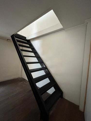 Para jovenes profesionales (118022)