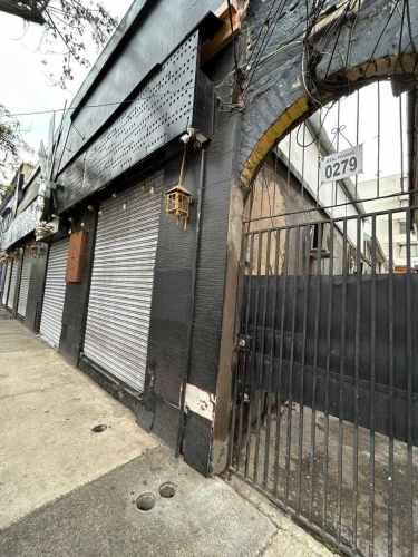 Para jovenes profesionales (118022)