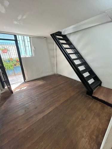 Para jovenes profesionales (118022)