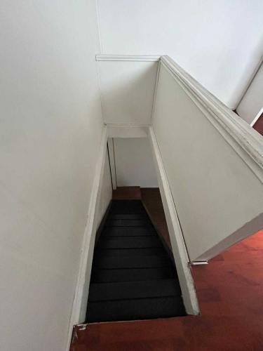 Para jovenes profesionales (118022)