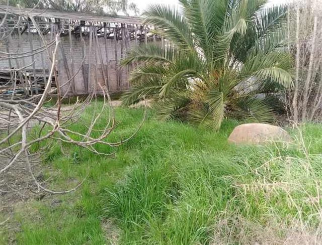 SITIO En Venta / Arriendo : Propiedad de 1.670m2 con Casa de 2 Pisos. Ninhue