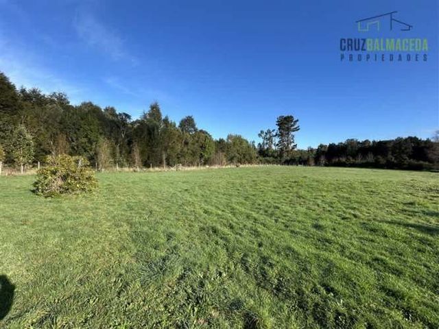 PARCELA Camino a Nueva Braunau