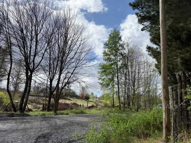 AGRICOLA Septima Faja Fundo Santa Elsa