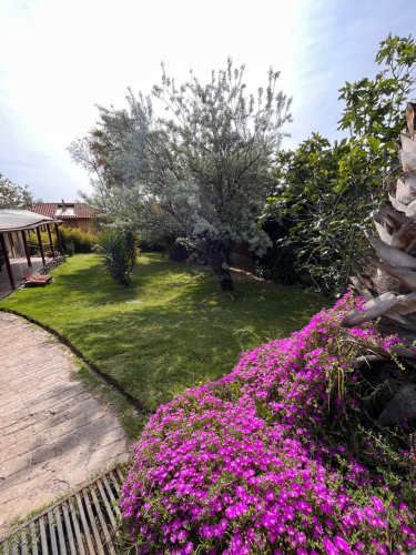 Habitación Con Baño Privado