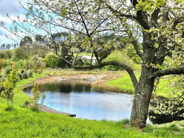 PARCELA Preciosas Parcelas a orillas del Río Colegual