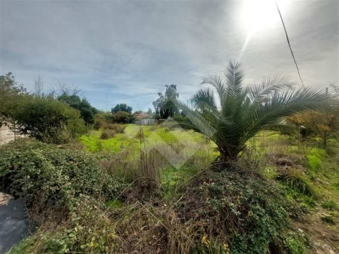 SITIO El Principal/ Camino Orilla del Río