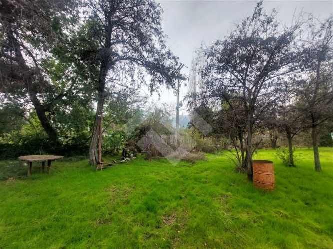 SITIO El Principal/ Camino Orilla del Río