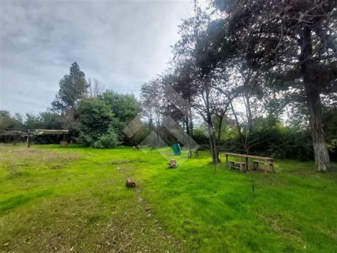 SITIO El Principal/ Camino Orilla del Río