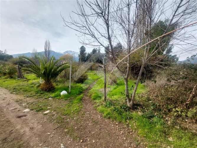 SITIO El Principal/ Camino Orilla del Río