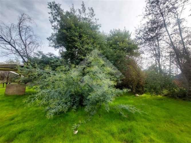 SITIO El Principal/ Camino Orilla del Río