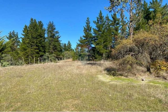 Parcela en venta yumbel de media hectarea