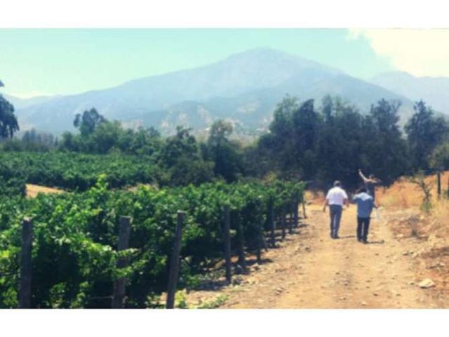 M9459423- Venta Terreno Viñas de Buin 10 ha - SIN COMISION