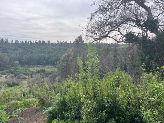 PARCELAS EN EL CONVENTO, SANTO DOMINGO V REGION