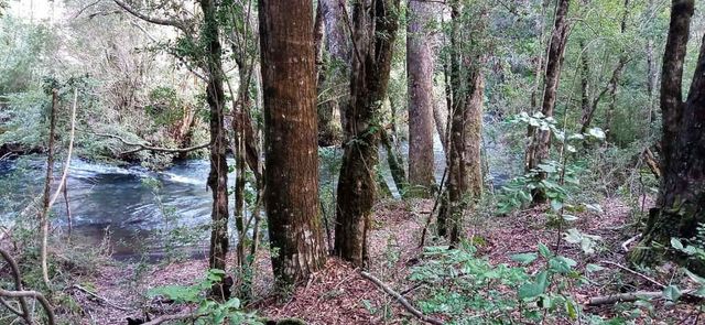 Casa inserta en plena naturaleza, parcela  (118352)