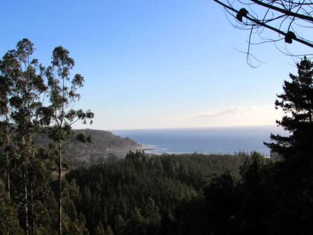 CARDONAL // 8 HECTÁREAS CON VISTA AL MAR (118351)