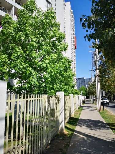 Dueño Directo, ¡Sin Comisión!