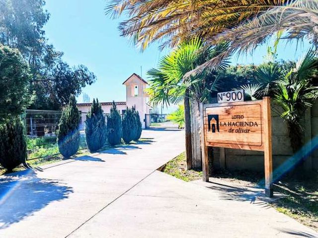 Parcela Hacienda Olivar Alto, derechos de agua, precio conversable