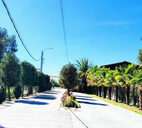 Parcela Hacienda Olivar Alto, derechos de agua, precio conversable