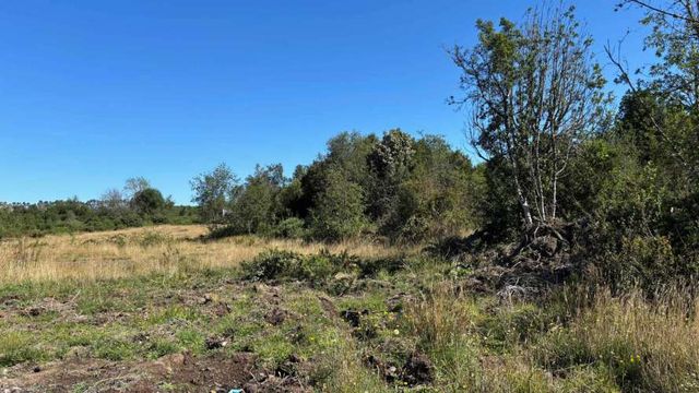 Parcela de 5.000 mts2sector de Chinquihue Alto - Panitao