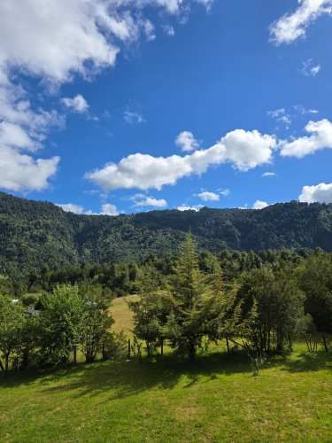 OPTUNIDAD PARCELA,CABAÑAS Y LOCAL COMERCIAL CON PATENTES