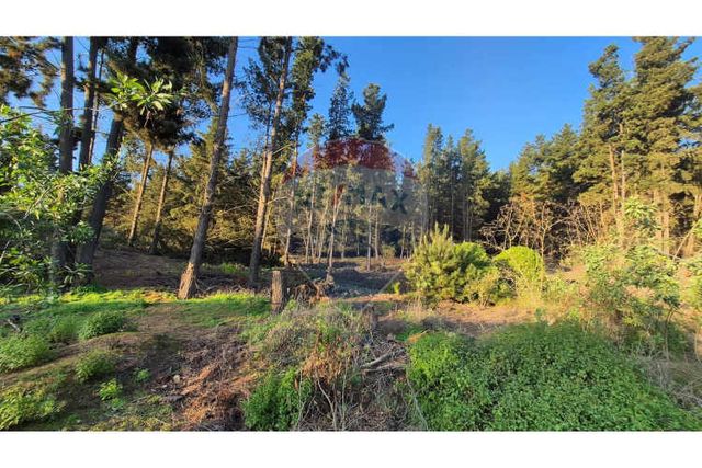 Terreno en condominio, los pinos (1.500 mts2)