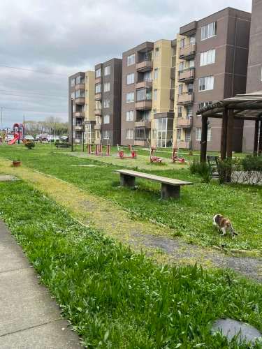 Hualpén, Avda. Rucalhue