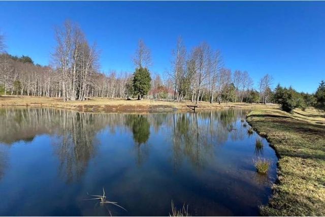 Pucon se vende parcelas de lujo en candelaria